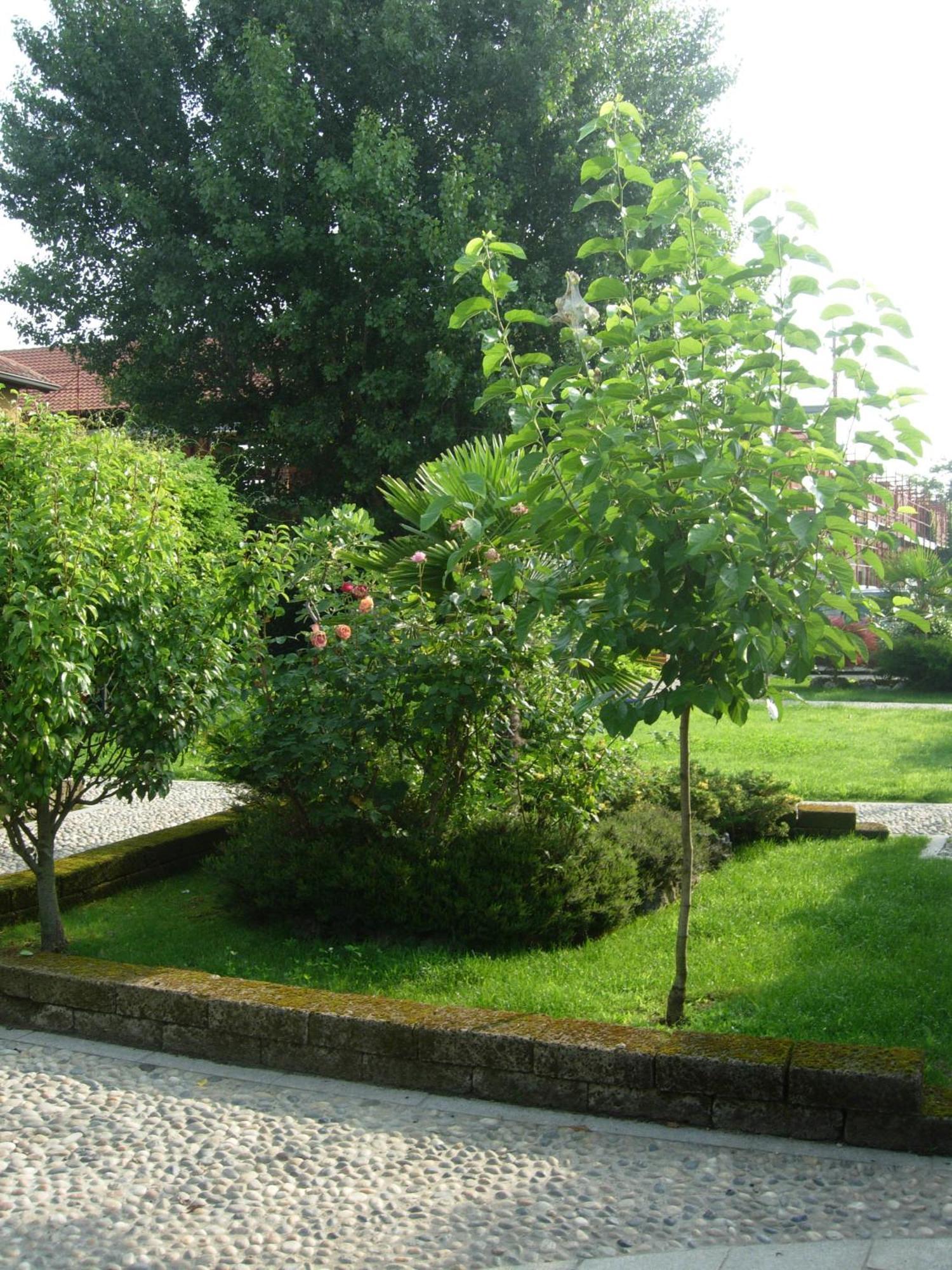 B&B Il Pioppo E La Fonte Castello d'Agogna Esterno foto